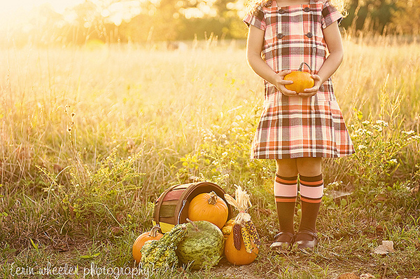 autumn inspiration board autumn inspiration board