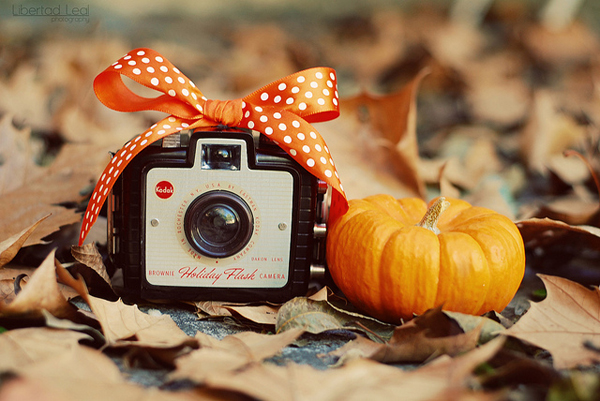 autumn inspiration board autumn inspiration board