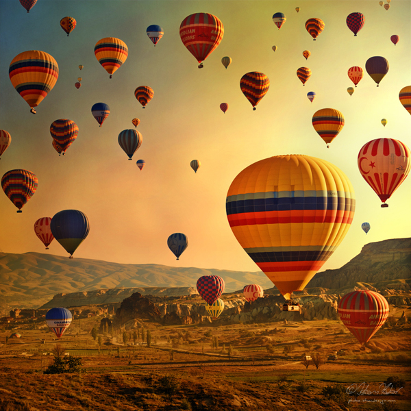 hot air balloon